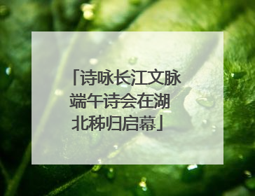 诗咏长江文脉 端午诗会在湖北秭归启幕