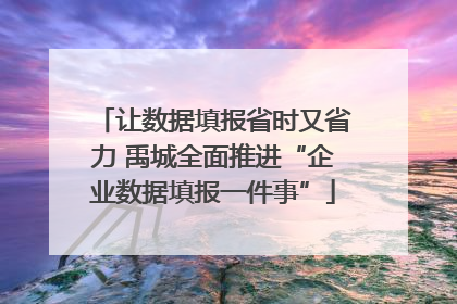 让数据填报省时又省力 禹城全面推进“企业数据填报一件事”