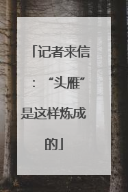 记者来信：“头雁”是这样炼成的