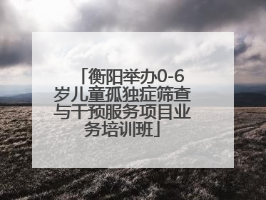 衡阳举办0-6岁儿童孤独症筛查与干预服务项目业务培训班