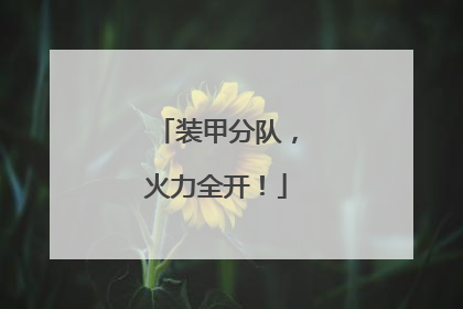 装甲分队，火力全开！
