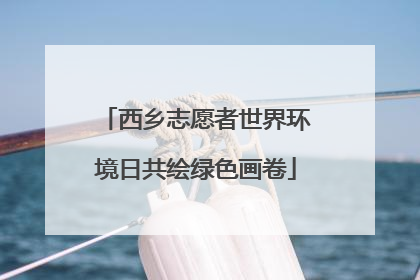 西乡志愿者世界环境日共绘绿色画卷