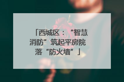 西城区：“智慧消防”筑起平房院落“防火墙”