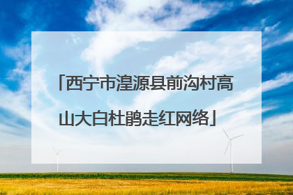 西宁市湟源县前沟村高山大白杜鹃走红网络
