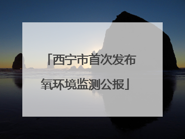 西宁市首次发布氧环境监测公报