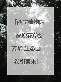 西宁植物园：高原花草绽芳华 生态画卷引客来