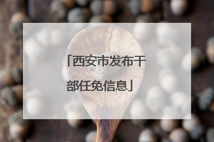 西安市发布干部任免信息