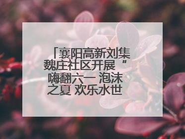 襄阳高新刘集魏庄社区开展“嗨翻六一 泡沫之夏 欢乐水世界”主题活动