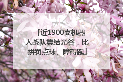 近1900支机器人战队集结光谷，比拼罚点球、障碍跑