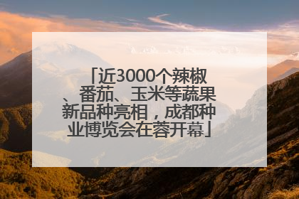 近3000个辣椒、番茄、玉米等蔬果新品种亮相，成都种业博览会在蓉开幕