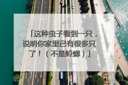 这种虫子看到一只，说明你家里已有很多只了！（不是蟑螂）
