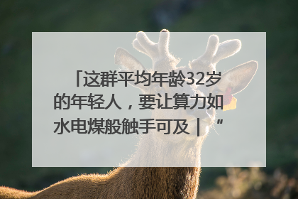 这群平均年龄32岁的年轻人，要让算力如水电煤般触手可及｜“北斗七星”探访