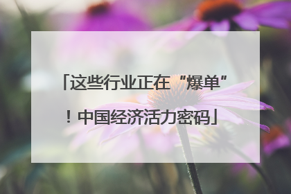 这些行业正在“爆单”！中国经济活力密码