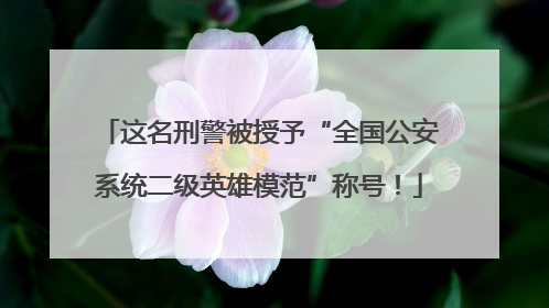 这名刑警被授予“全国公安系统二级英雄模范”称号！