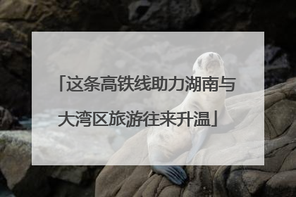 这条高铁线助力湖南与大湾区旅游往来升温