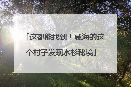 这都能找到！威海的这个村子发现水杉秘境