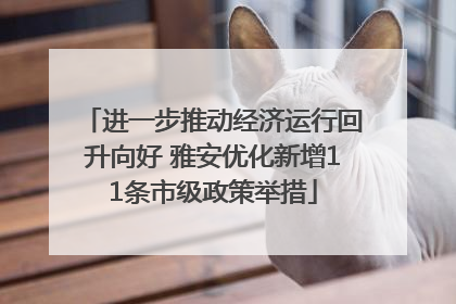 进一步推动经济运行回升向好 雅安优化新增11条市级政策举措