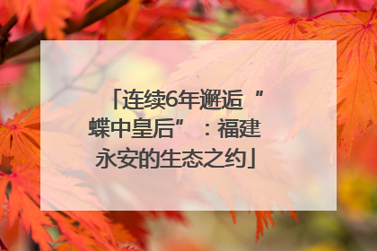 连续6年邂逅“蝶中皇后”：福建永安的生态之约