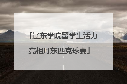 辽东学院留学生活力亮相丹东匹克球赛