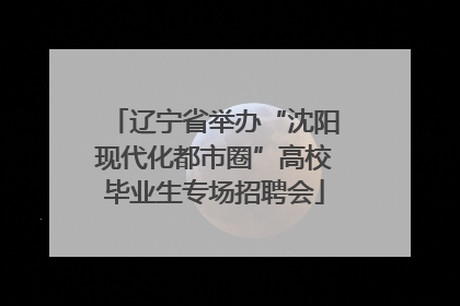 辽宁省举办“沈阳现代化都市圈”高校毕业生专场招聘会