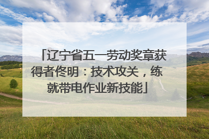 辽宁省五一劳动奖章获得者佟明：技术攻关，练就带电作业新技能