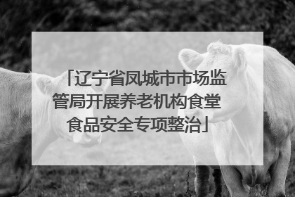 辽宁省凤城市市场监管局开展养老机构食堂食品安全专项整治