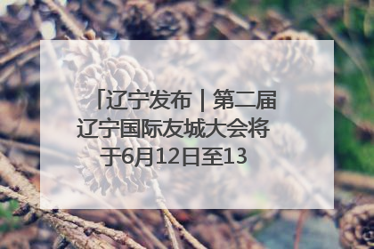 辽宁发布｜第二届辽宁国际友城大会将于6月12日至13日在沈阳举办