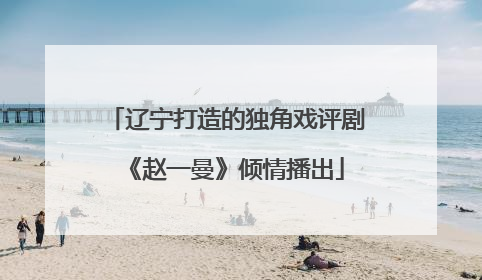辽宁打造的独角戏评剧《赵一曼》倾情播出