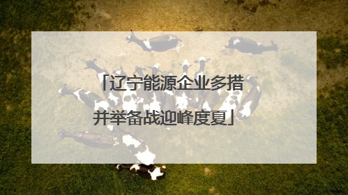辽宁能源企业多措并举备战迎峰度夏