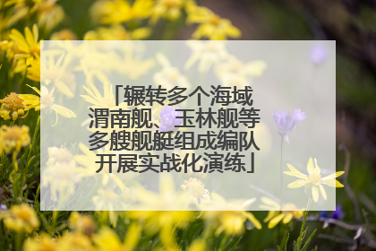 辗转多个海域 渭南舰、玉林舰等多艘舰艇组成编队开展实战化演练