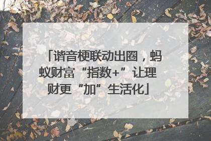 谐音梗联动出圈，蚂蚁财富“指数+”让理财更“加”生活化