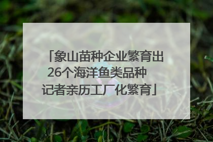 象山苗种企业繁育出26个海洋鱼类品种 记者亲历工厂化繁育