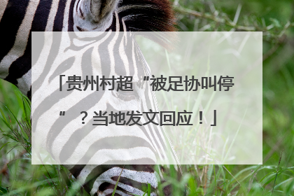 贵州村超“被足协叫停”？当地发文回应！