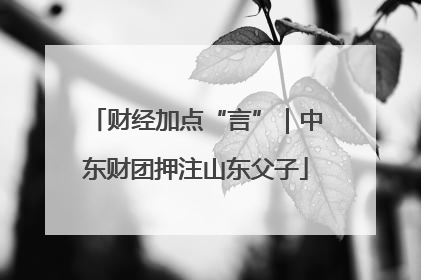 财经加点“言”｜中东财团押注山东父子