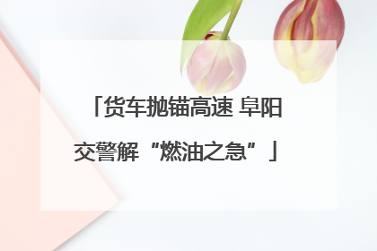 货车抛锚高速 阜阳交警解“燃油之急”