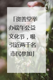 资善堂举办端午公益文化节，吸引近两千名市民参加