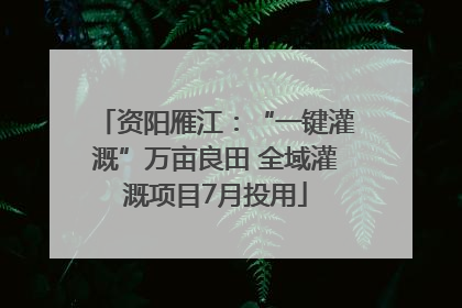 资阳雁江：“一键灌溉”万亩良田 全域灌溉项目7月投用