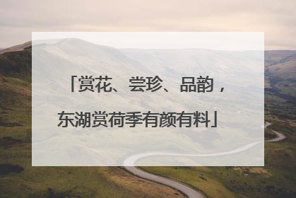 赏花、尝珍、品韵，东湖赏荷季有颜有料