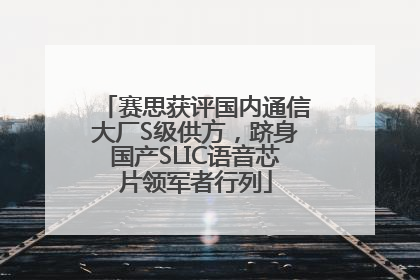 赛思获评国内通信大厂S级供方，跻身国产SLIC语音芯片领军者行列