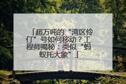 超万吨的“湾区伶仃”号如何移动？工程师揭秘：类似“蚂蚁托大象”