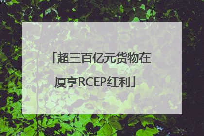 超三百亿元货物在厦享RCEP红利