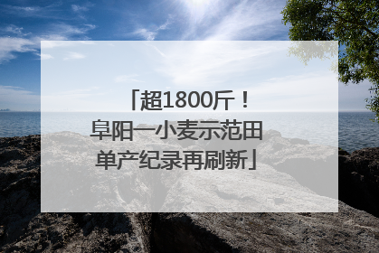 超1800斤！阜阳一小麦示范田单产纪录再刷新