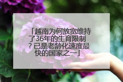 越南为何放宽维持了36年的生育限制？已是老龄化速度最快的国家之一