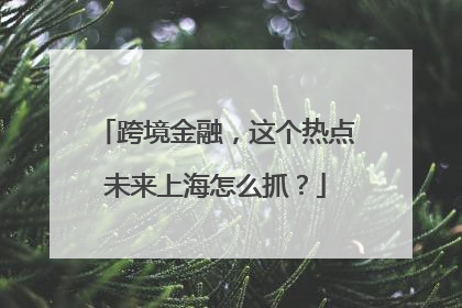 跨境金融，这个热点未来上海怎么抓？