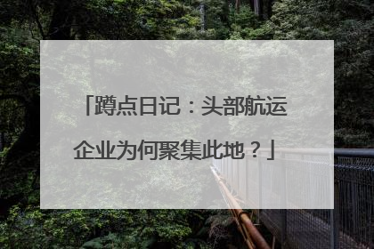 蹲点日记：头部航运企业为何聚集此地？