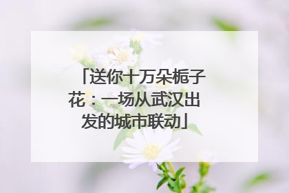 送你十万朵栀子花：一场从武汉出发的城市联动