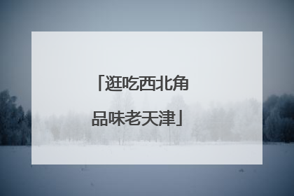 逛吃西北角 品味老天津
