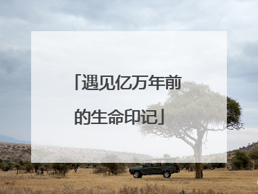 遇见亿万年前的生命印记