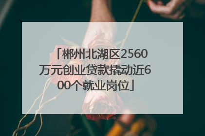 郴州北湖区2560万元创业贷款撬动近600个就业岗位