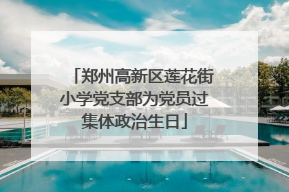 郑州高新区莲花街小学党支部为党员过集体政治生日